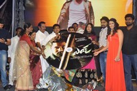EYY Movie Audio Launch Photos